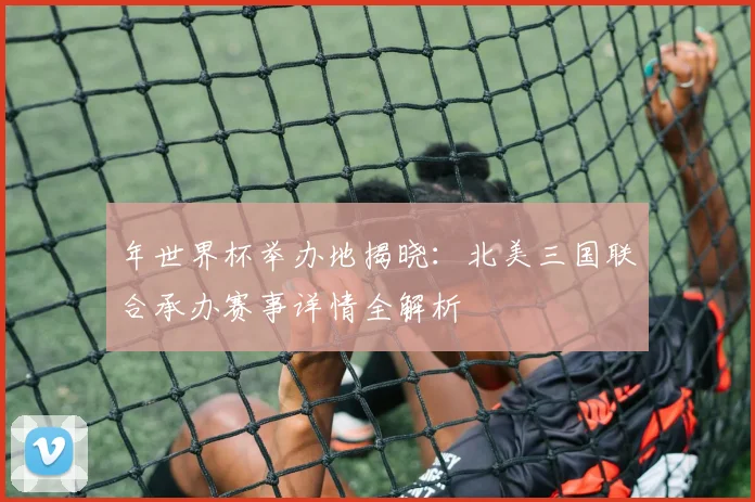 年世界杯举办地揭晓：北美三国联合承办赛事详情全解析
