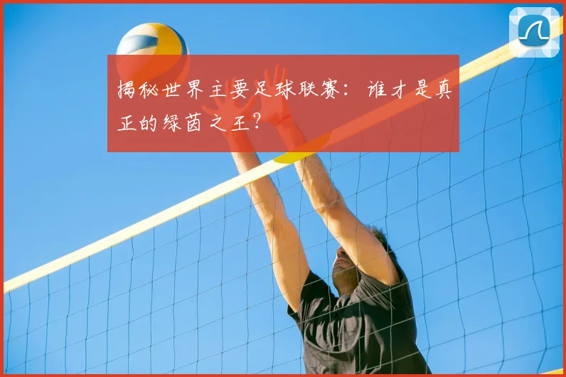 揭秘世界主要足球联赛：谁才是真正的绿茵之王？