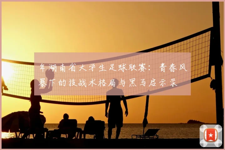 年湖南省大学生足球联赛：青春风暴下的技战术格局与黑马启示录