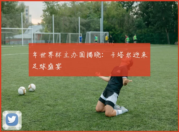 年世界杯主办国揭晓：卡塔尔迎来足球盛宴