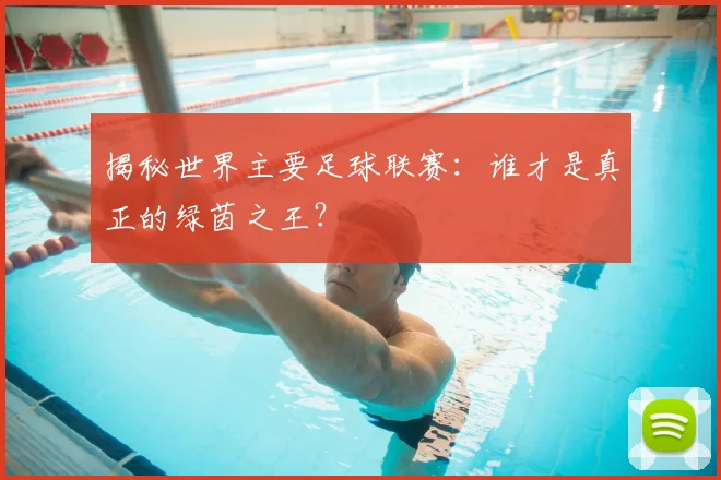 揭秘世界主要足球联赛：谁才是真正的绿茵之王？